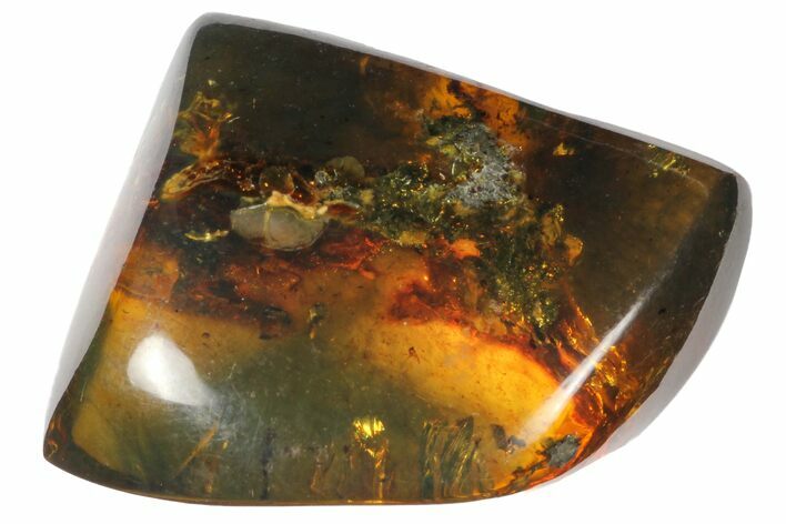 Polished Chiapas Amber ( g) - Mexico #114853